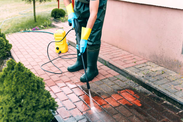 Best Roof Pressure Washing  in Old River Winfree, TX