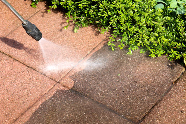 Best Power Washing Near Me  in Old River Winfree, TX